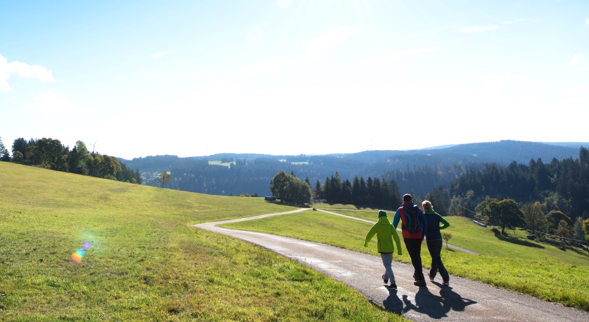 Wanderer auf einem Weg im Schwarzwald bei strahlendem Sonnenschein Wanderer auf einem Weg im Schwarzwald mit Panorama-Ausblick