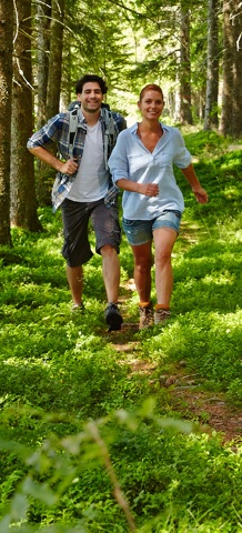 Zwei Wanderer auf einem Pfad im Wald